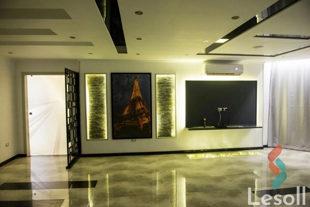 Apartment for monthly rent with an area 250 meters and 3 rooms in Nasr City Cairo