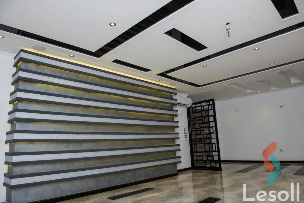 Apartment for monthly rent with an area 250 meters and 3 rooms in Nasr City Cairo