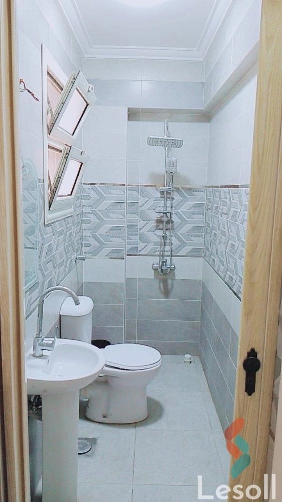 Hotel Apartment for monthly rent with an area 250 meters and 3 rooms in Manyal Cairo