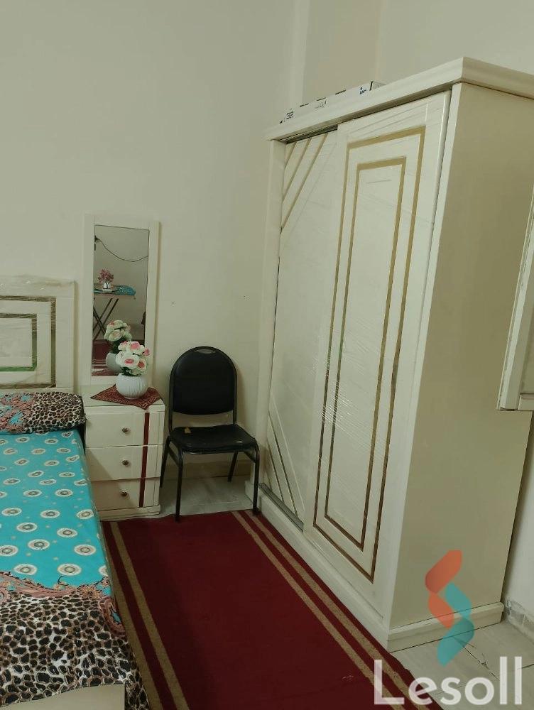 شقة فندقية للايجار الشهري بمساحة 150 متر و غرفتان في المنيل القاهرة - كل الصور