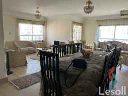 شقة مفروشه 28 الف ج - شارع النصر قرب طاطا - المعادى الجديده