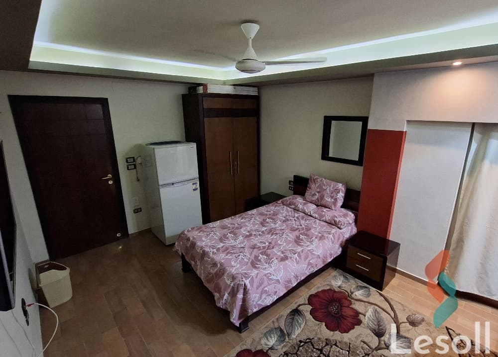 Studio for monthly rent with an area 15 meters and 1 room in October 6 Giza - Image 4