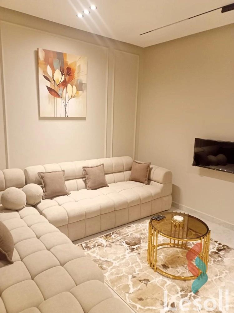 Apartment for monthly rent with an area 250 meters and 4 rooms in Mohandessin Giza