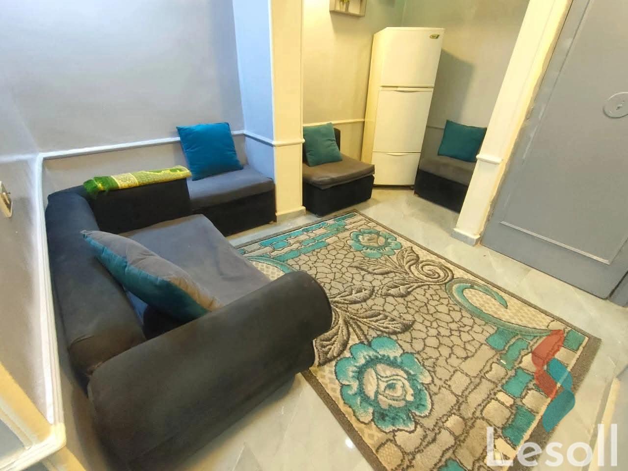 Apartment for monthly rent with an area 120 meters and 3 rooms in Manyal Cairo