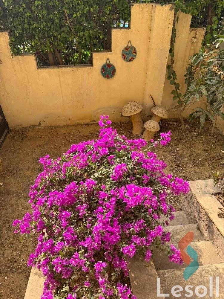 Apartment for sale with an area 137 meters and 3 rooms in Cheikh Zayed Giza