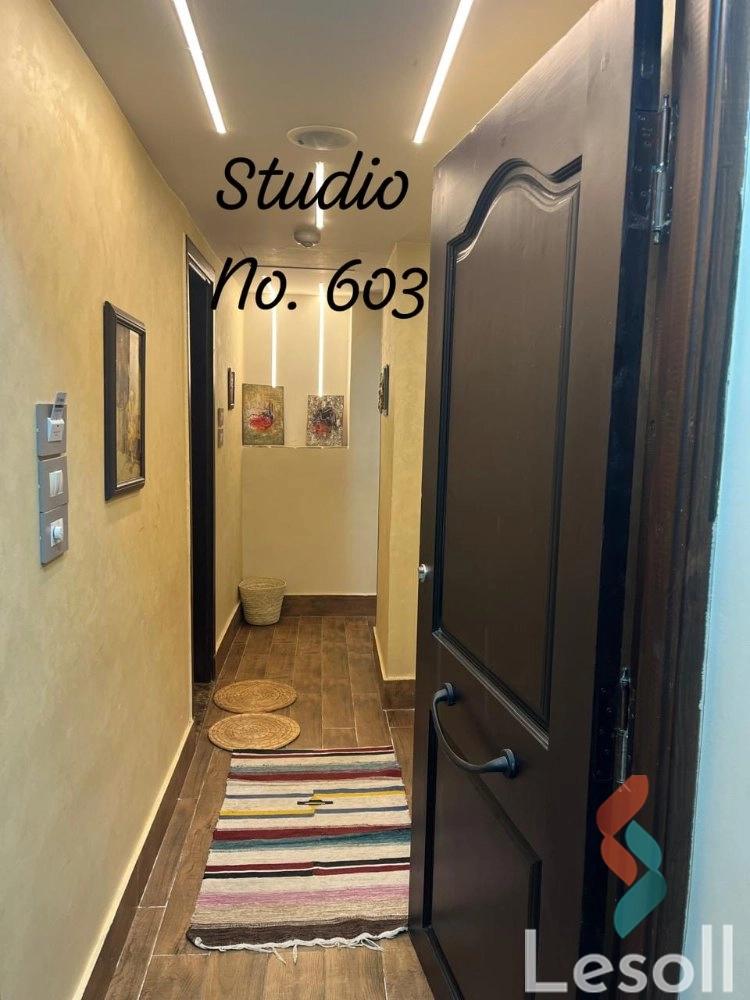 Studio for monthly rent with an area 65 meters and 1 room in Nasr City Cairo