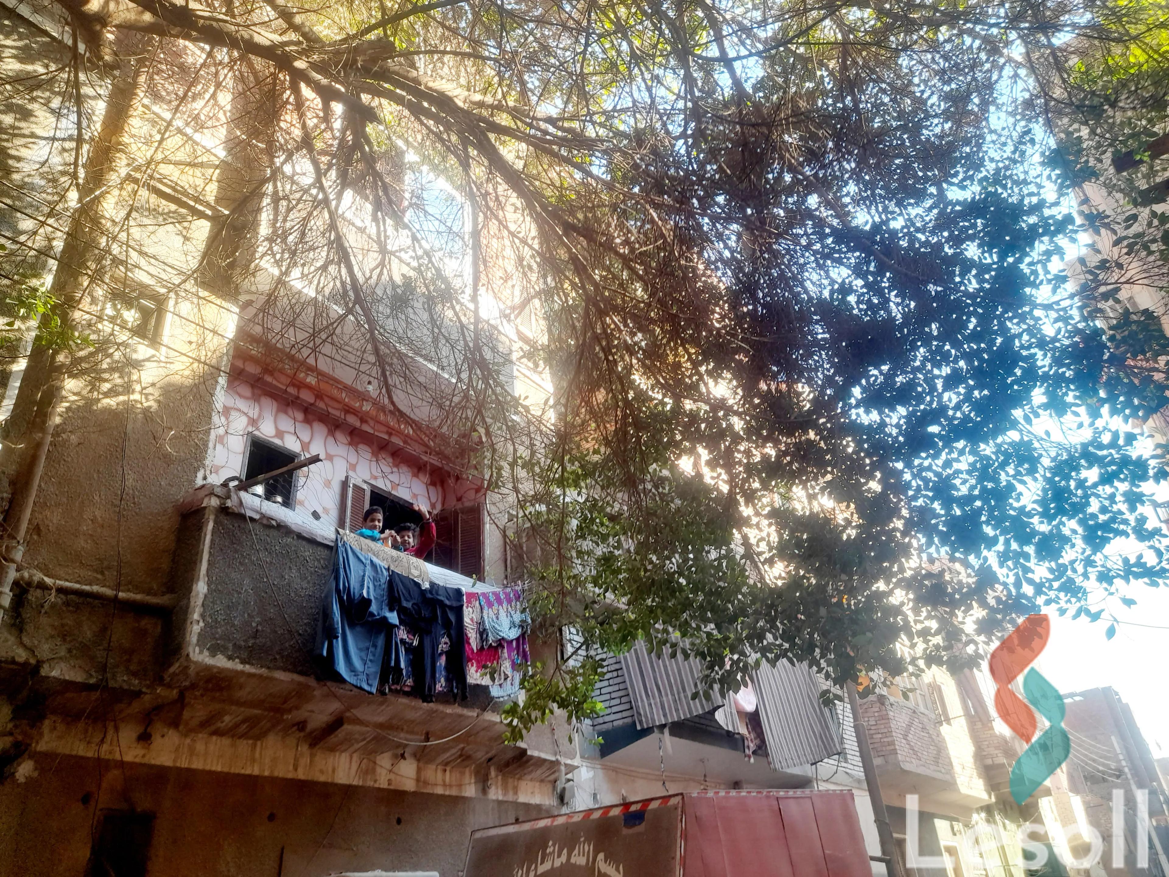 Building for sale with an area 64 meters and 3 rooms in Kom Ombo Aswan - Image 2