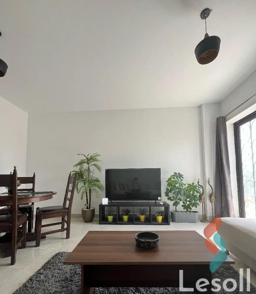 شقة بحديقة للايجار الشهري بمساحة 95 متر و غرفة واحدة في القاهرة الجديدة القاهرة