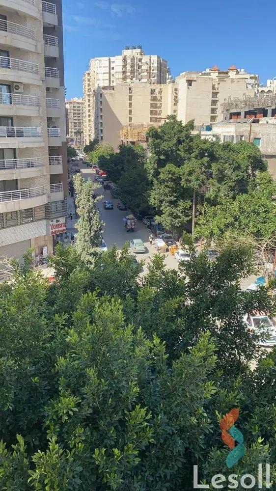 شقة للبيع بمساحة 160 متر و 3 غرف في سموحة الاسكندرية شقة للبيع بمساحة 160 متر و 3 غرف في سموحة الاسكندرية