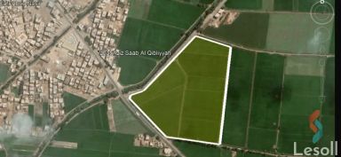 Agriculture land for sale with an area 70,700 meters in Dekernes Dakahlia