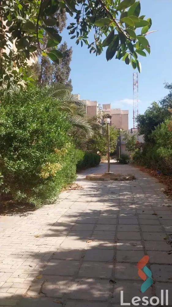 Apartment for sale with an area 96 meters and 3 rooms in El Montaza Alexandria