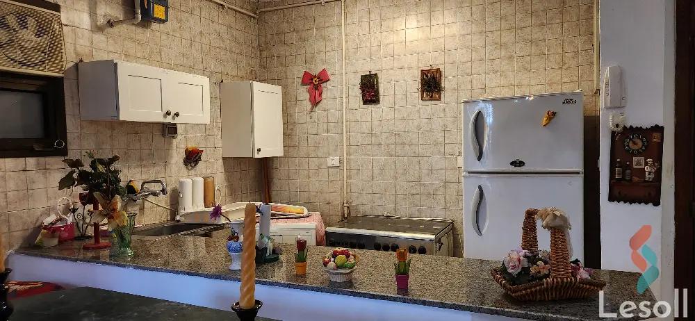 شقة بحديقة للايجار الشهري بمساحة 57 متر و غرفة واحدة في التجمع الاول - القاهرة الجديدة القاهرة