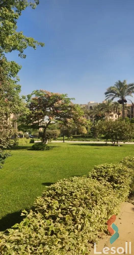 شقة بحديقة للايجار الشهري بمساحة 57 متر و غرفة واحدة في التجمع الاول - القاهرة الجديدة القاهرة