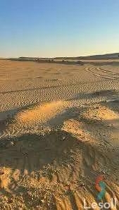 ارض زراعية للبيع بمساحة 840,166 متر في الخارجة الوادي الجديد