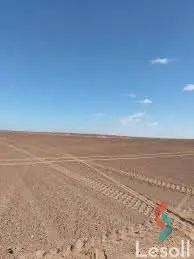 Agriculture land for sale with an area 840,166 meters in El Kharga New Valley