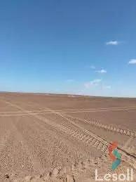 ارض زراعية للبيع بمساحة 840,166 متر في الخارجة الوادي الجديد