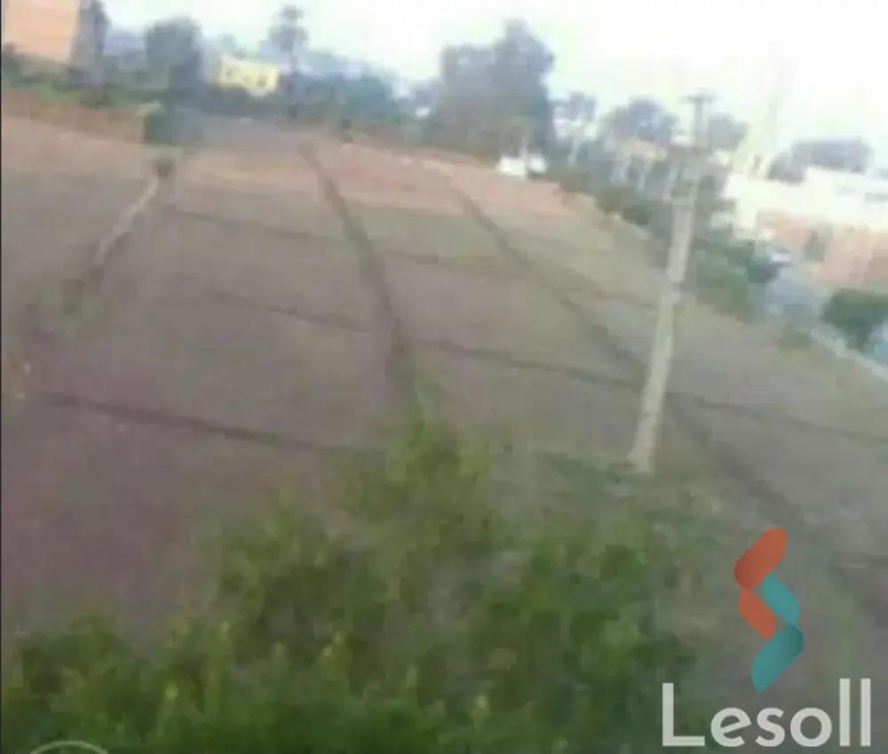 Agriculture land for sale with an area 1,700 meters in Quesna Menofia