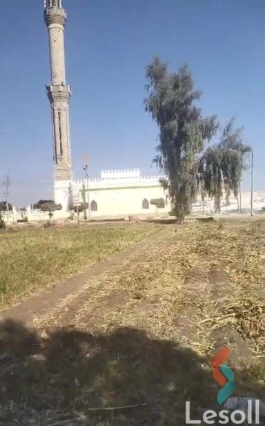 Agriculture land for sale with an area 1,700 meters in Quesna Menofia