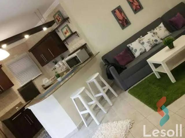 Apartment with garden for monthly rent with an area 65 meters and 1 room in Rehab Cairo