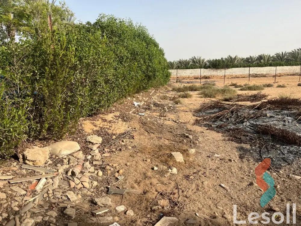 Agriculture land for sale with an area 3,150 meters in Abu Rawash Giza