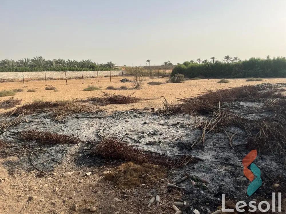 Agriculture land for sale with an area 3,150 meters in Abu Rawash Giza