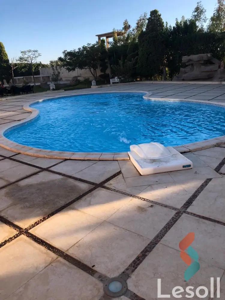 فيلا للبيع بمساحة 4,000 متر و 3 غرف في 6 اكتوبر الجيزة