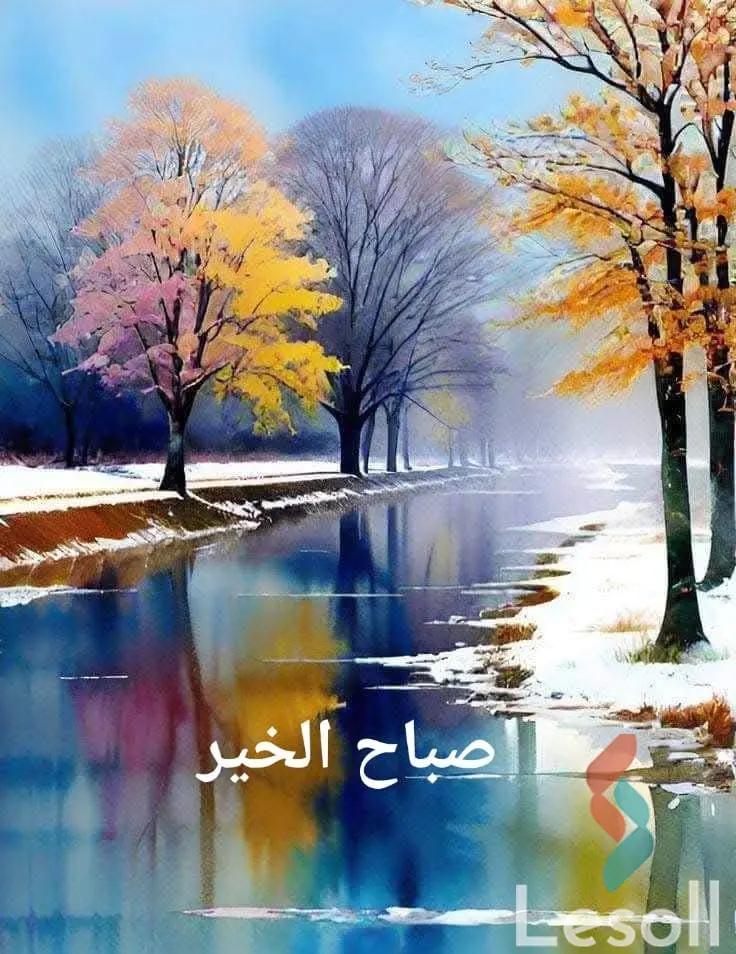 شقة بحديقة للبيع بمساحة 45 متر و غرفة واحدة في رأس سدر جنوب سيناء