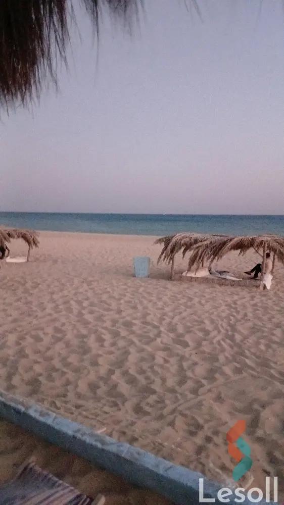 شقة بحديقة للبيع بمساحة 45 متر و غرفة واحدة في رأس سدر جنوب سيناء