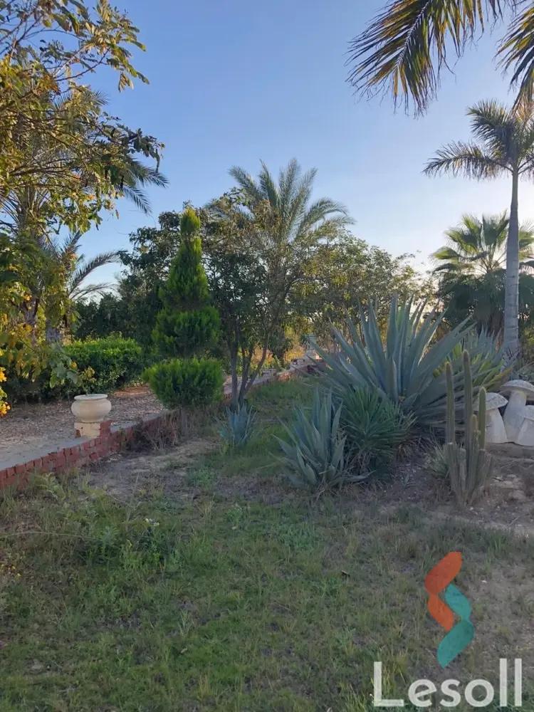 Villa for sale with an area 4,000 meters and 3 rooms in October 6 Giza - All Images