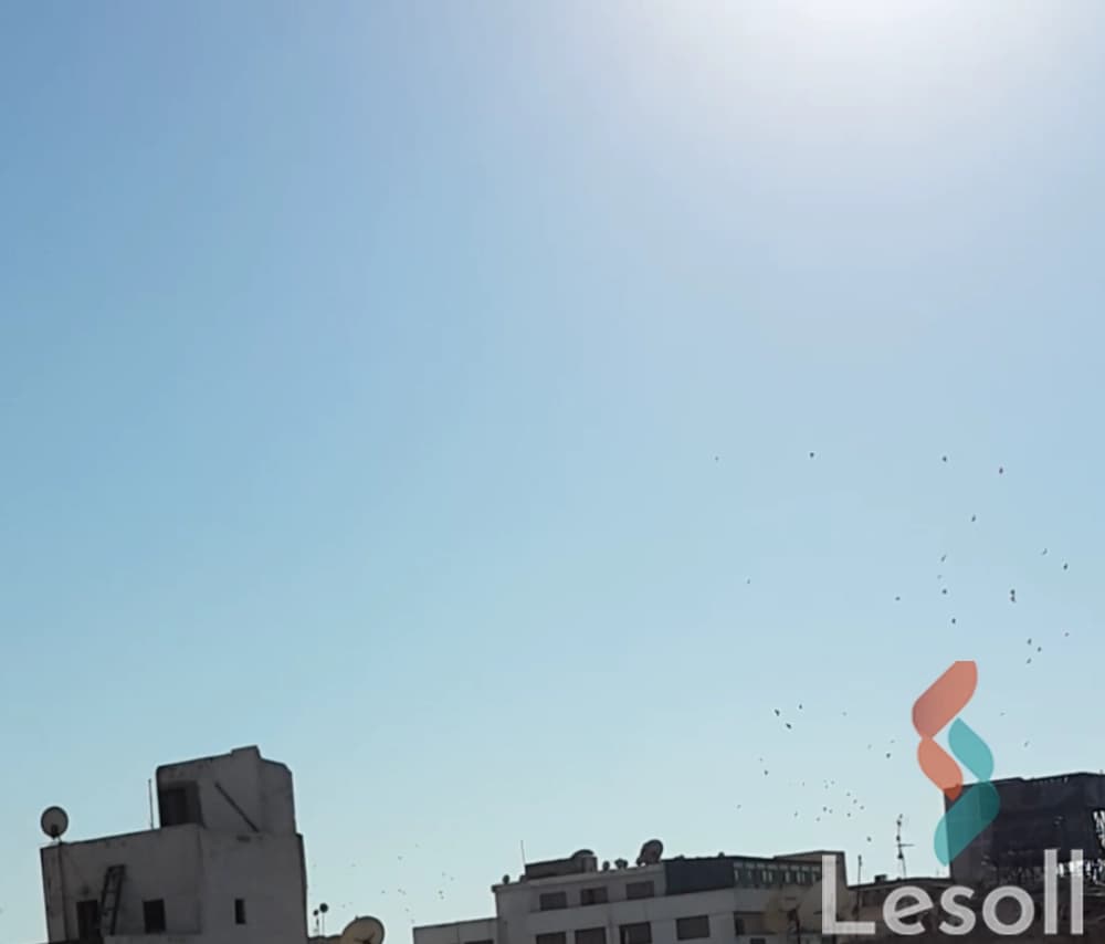 Apartment for sale with an area 30 meters and 1 room in Almanakh Port Sanumber - Image 3