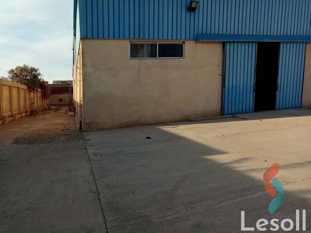 Factory for monthly rent with an area 900 meters in Bourj Alarab Alexandria