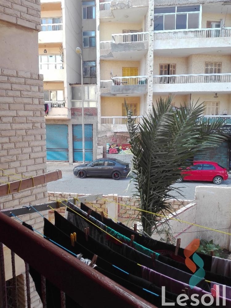 Apartment for monthly rent with an area 110 meters and 2 room in Agamy Alexandria - All Images