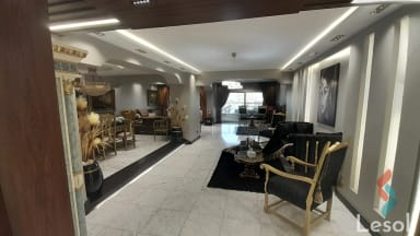 شقة فندقية للايجار الشهري بمساحة 320 متر و 4 غرف في ميدان الجيزة الجيزة