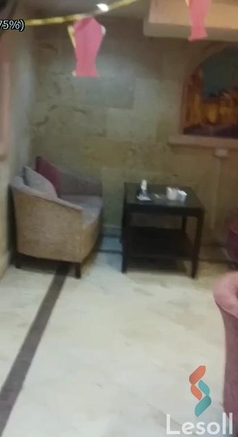 كافية للبيع بمساحة 330 متر في الجيزة - صورة 4