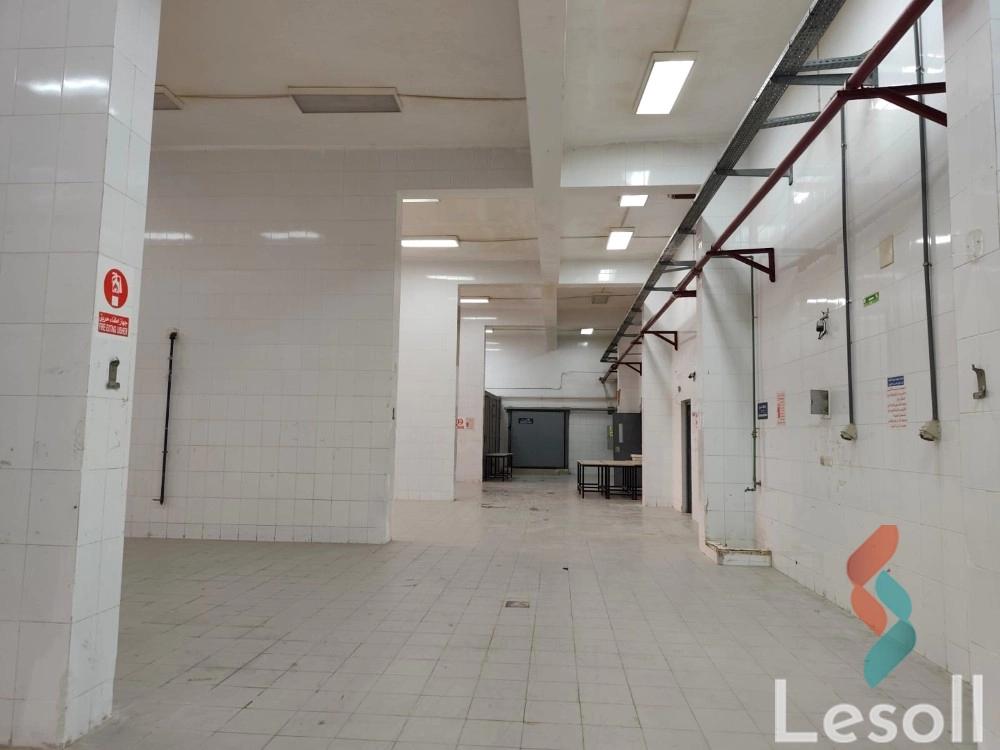 Factory for monthly rent with an area 4,500 meters in Bourj Alarab Alexandria - Image 3