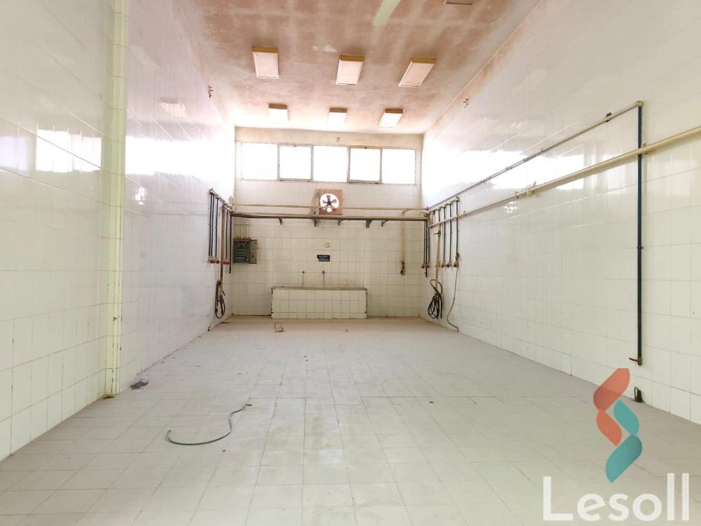 Factory for monthly rent with an area 4,500 meters in Bourj Alarab Alexandria - Image 4