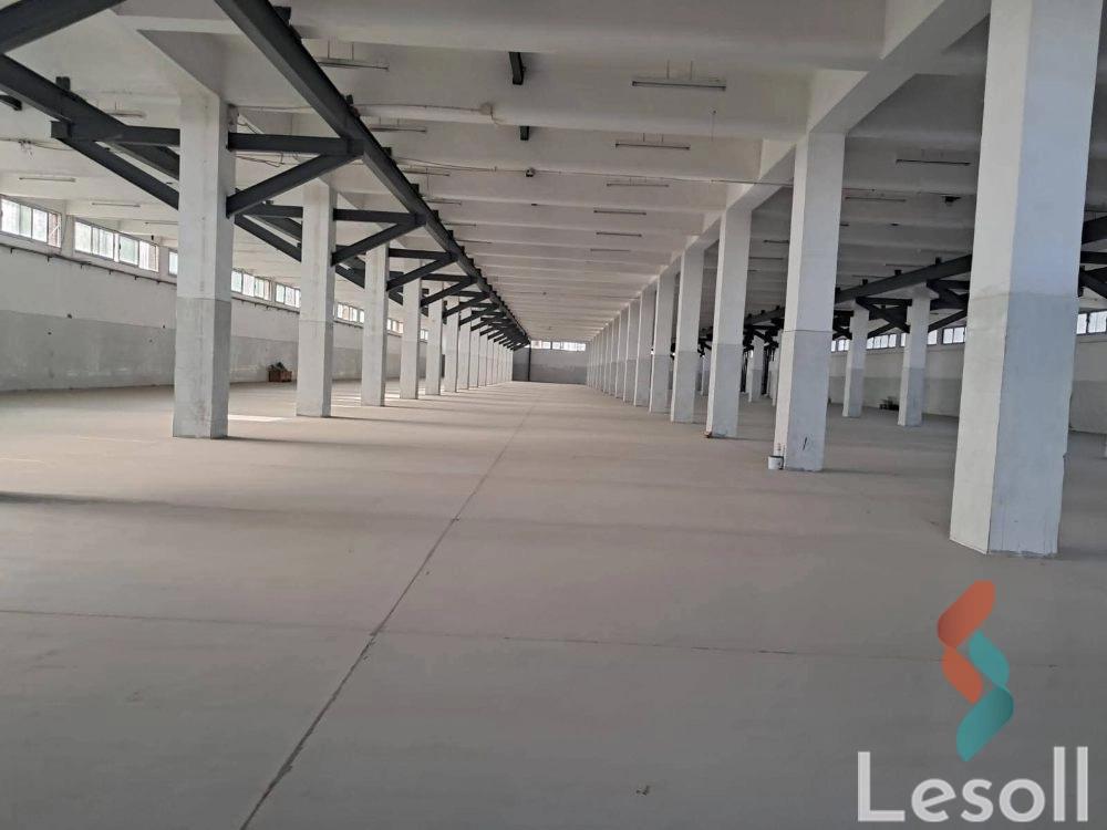 مصنع للبيع بمساحة 4,250 متر في الاسكندرية - صورة 4