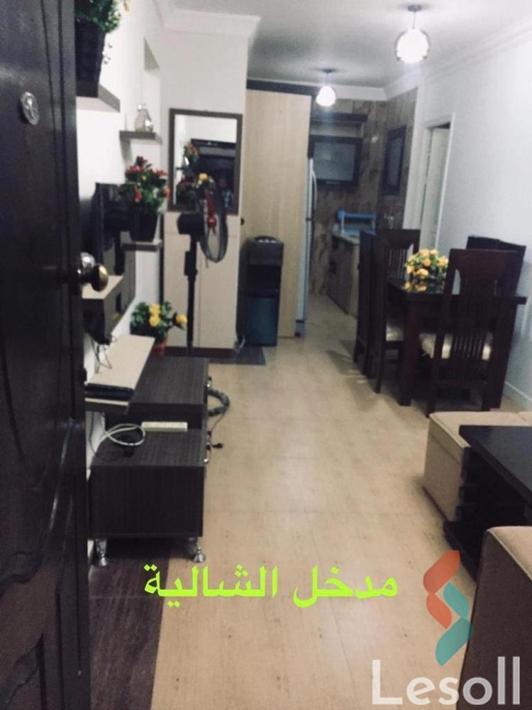 شالية للايجار اليومي بمساحة 140 متر و 3 غرف في العين السخنة السويس - الصورة الرئيسية