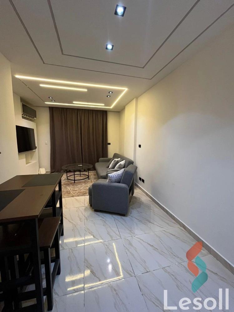 إستوديو للايجار اليومي بمساحة 65 متر و غرفة واحدة في مدينتي القاهرة - صورة 2