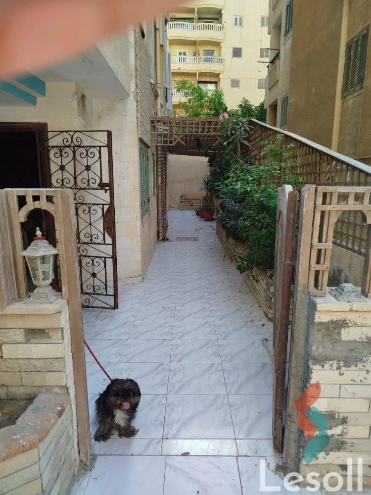 شقة بحديقة للبيع بمساحة 105 متر و 3 غرف في العجمي الاسكندرية شقة بحديقة للبيع بمساحة 105 متر و 3 غرف في العجمي الاسكندرية