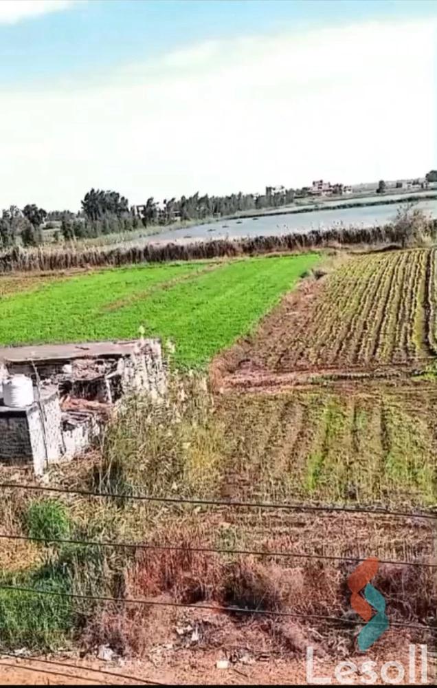 ارض مبانى للبيع بمساحة 8,000 متر في الحامول كفر الشيخ - صورة 3