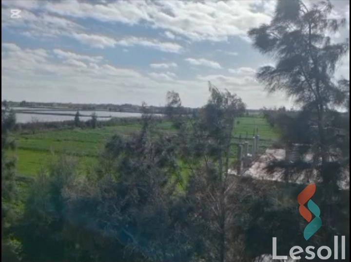 ارض مبانى للبيع بمساحة 8,000 متر في الحامول كفر الشيخ - صورة 4