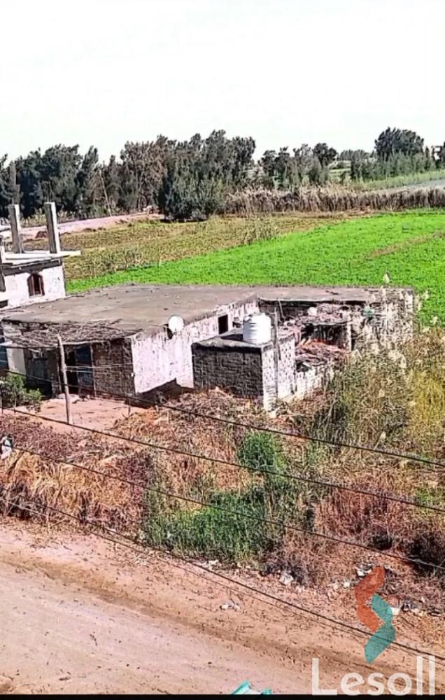 ارض مبانى للبيع بمساحة 8,000 متر في الحامول كفر الشيخ - صورة 2