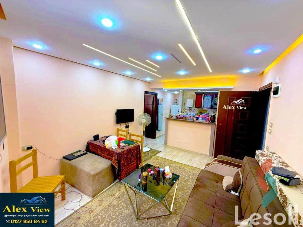 شقة للبيع بمساحة 60 متر و غرفة واحدة في المندرة الاسكندرية - صورة 2