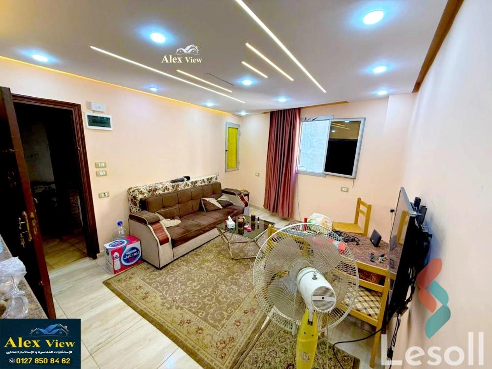 شقة للبيع بمساحة 60 متر و غرفة واحدة في المندرة الاسكندرية - صورة 3