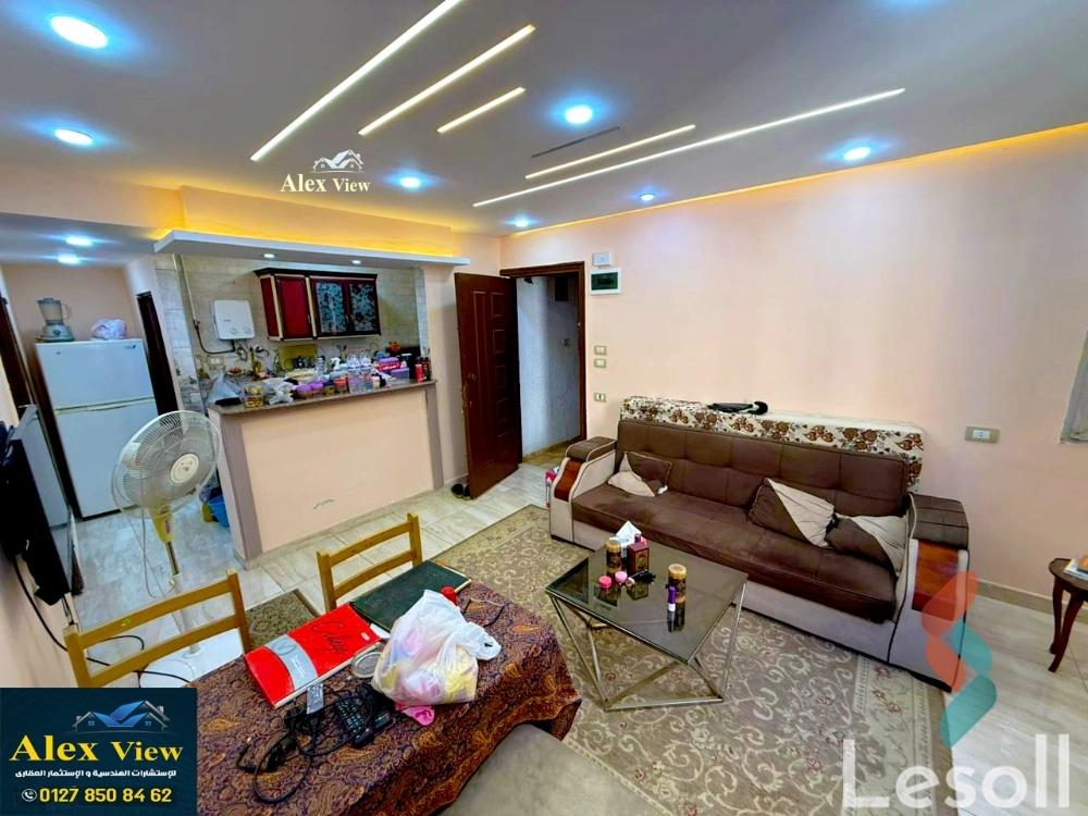 شقة للبيع بمساحة 60 متر و غرفة واحدة في المندرة الاسكندرية - صورة 4