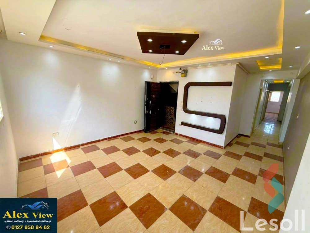 Apartment for sale with an area 85 meters and 2 room in Miami Alexandria - All Images