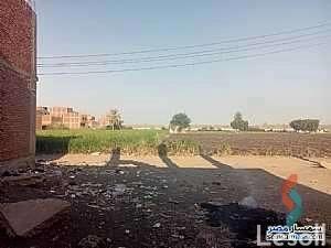 Building land for sale with an area 175 meters in Haram Giza - Image 3