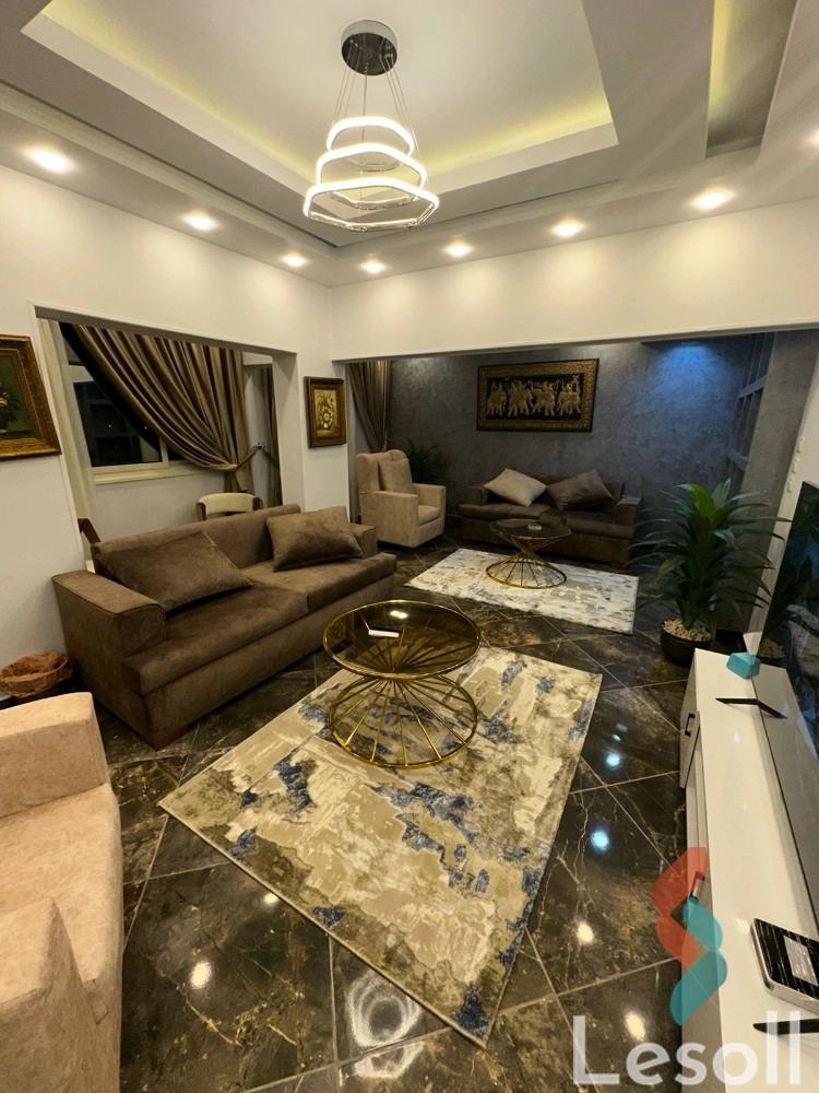 شقة فندقية للايجار الشهري بمساحة 140 متر و غرفتان في المهندسين الجيزة - كل الصور