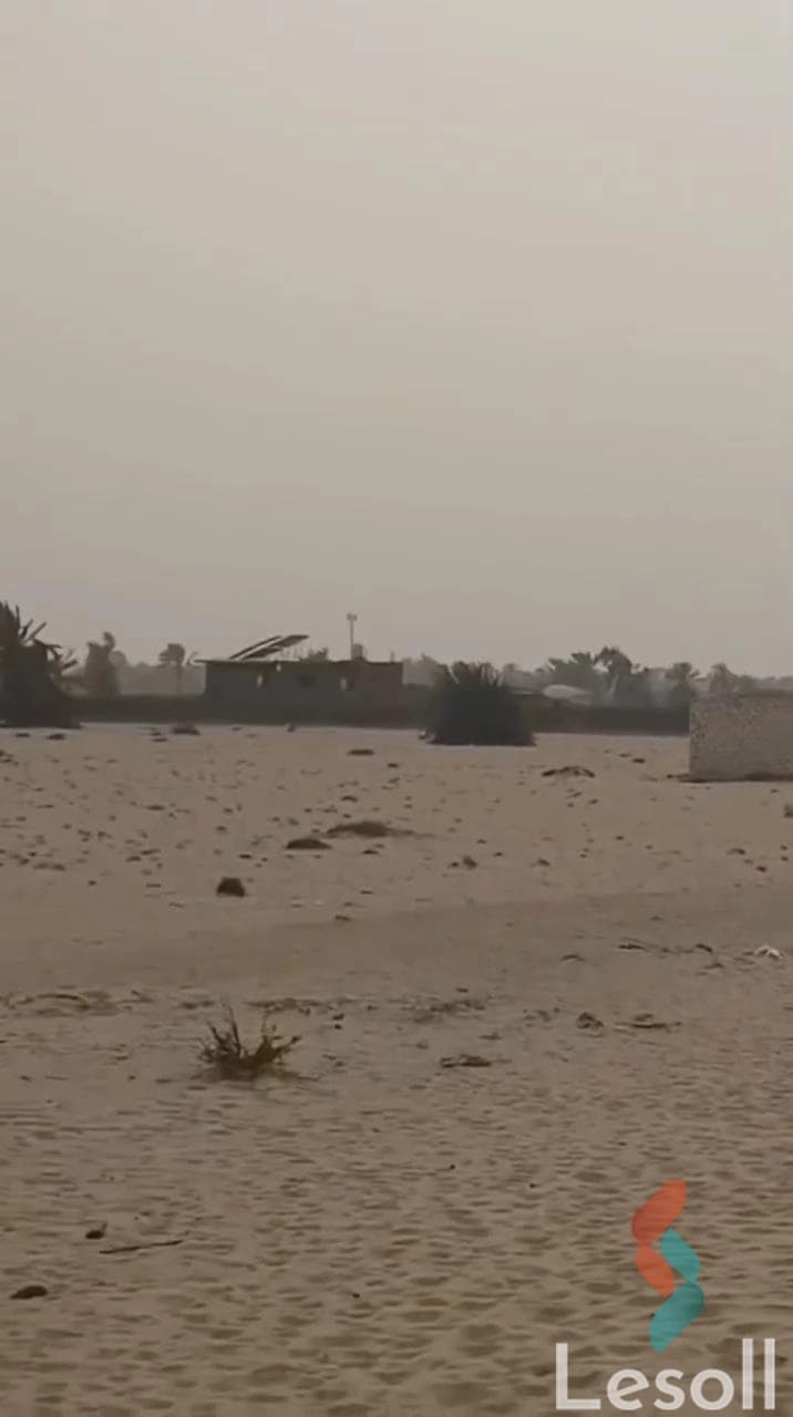 Agricultural Land for Sale in Wadi El Natrun 15 Feddans Ready for Investment - Image 3